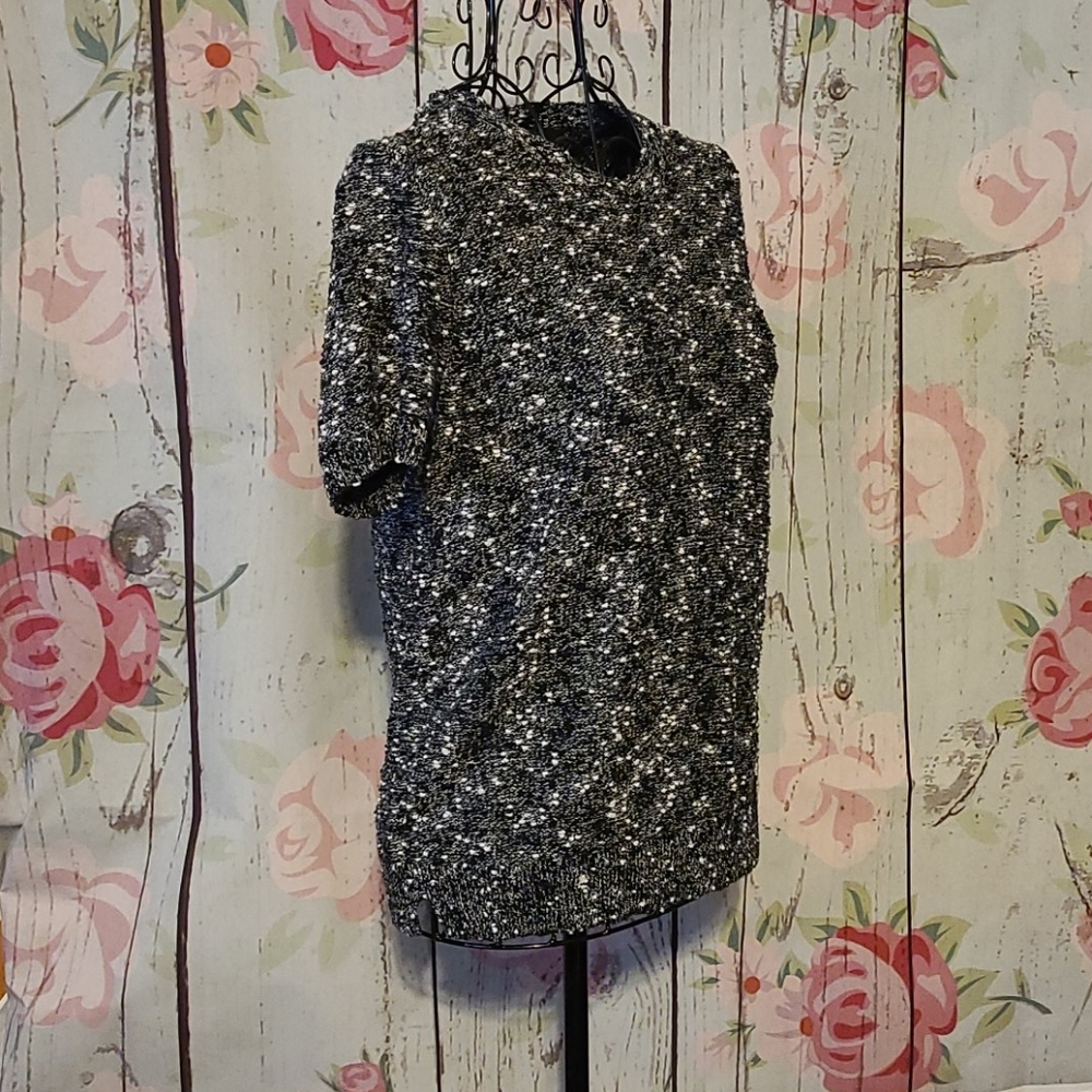 Ann Taylor MP Short Sleeve Sweater
